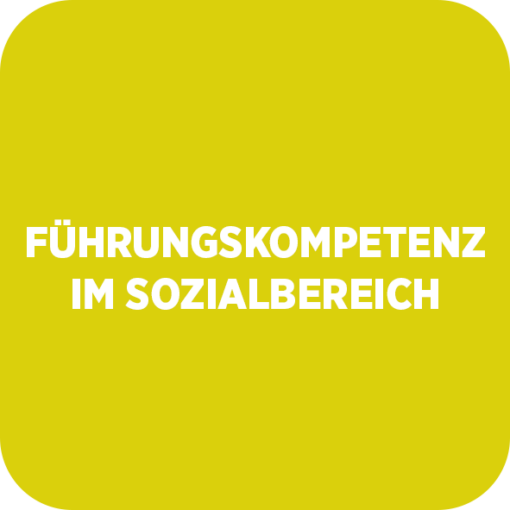 FÜHRUNGSKOMPETENZ IM SOZIALBEREICH - 72 UE