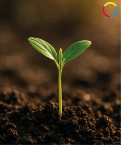 ZOS - ZIELOFFENE SUCHTARBEIT