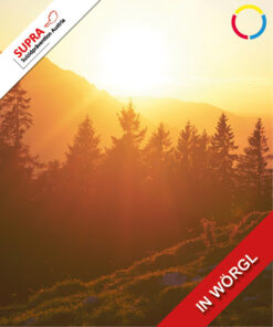 GATEKEEPER IN DER SUIZIDPRÄVENTION<br>SEMINAR IN WÖRGL